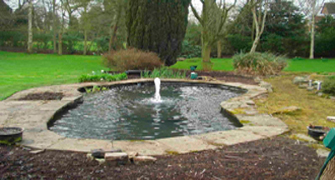 garden_pond