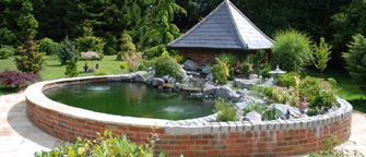 raised-pond-image